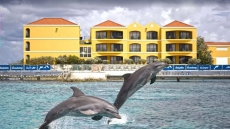 Carribean Sea and dolphins at the Sea aquarium