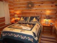 Papa Bear's River Cabin- 3 bedroom, 2 full bath, Riverfront