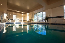 Suite with FREE SHUTTLE Access | Free Breakfast, Shared Hot Tub + Pool