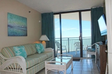 Professionally Cleaned & Sanitized!