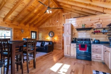 Hot Tub & WiFi - Family Log Cabin - Cozy Canopy - Mountain Retreat in Red River Gorge, KY!